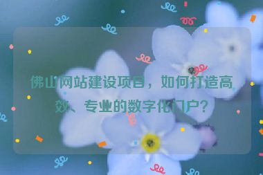 佛山網(wǎng)站建設(shè)項(xiàng)目，如何打造高效、專業(yè)的數(shù)字化門戶？